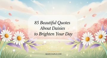 85 Beautiful Quotes About Daisies to Brighten Your Day