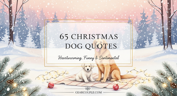 65 Christmas Dog Quotes Heartwarming Funny Sentimental