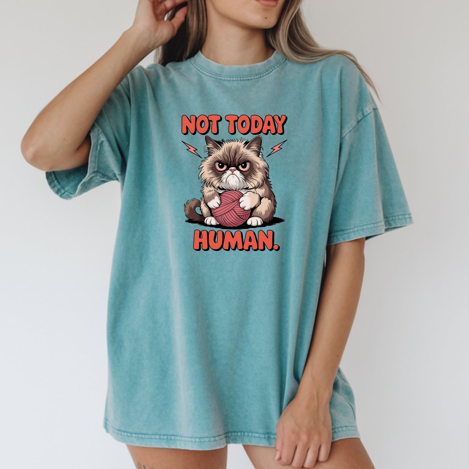Not Today Human T-Shirt - Funny Cat Sarcastic Graphic Tee