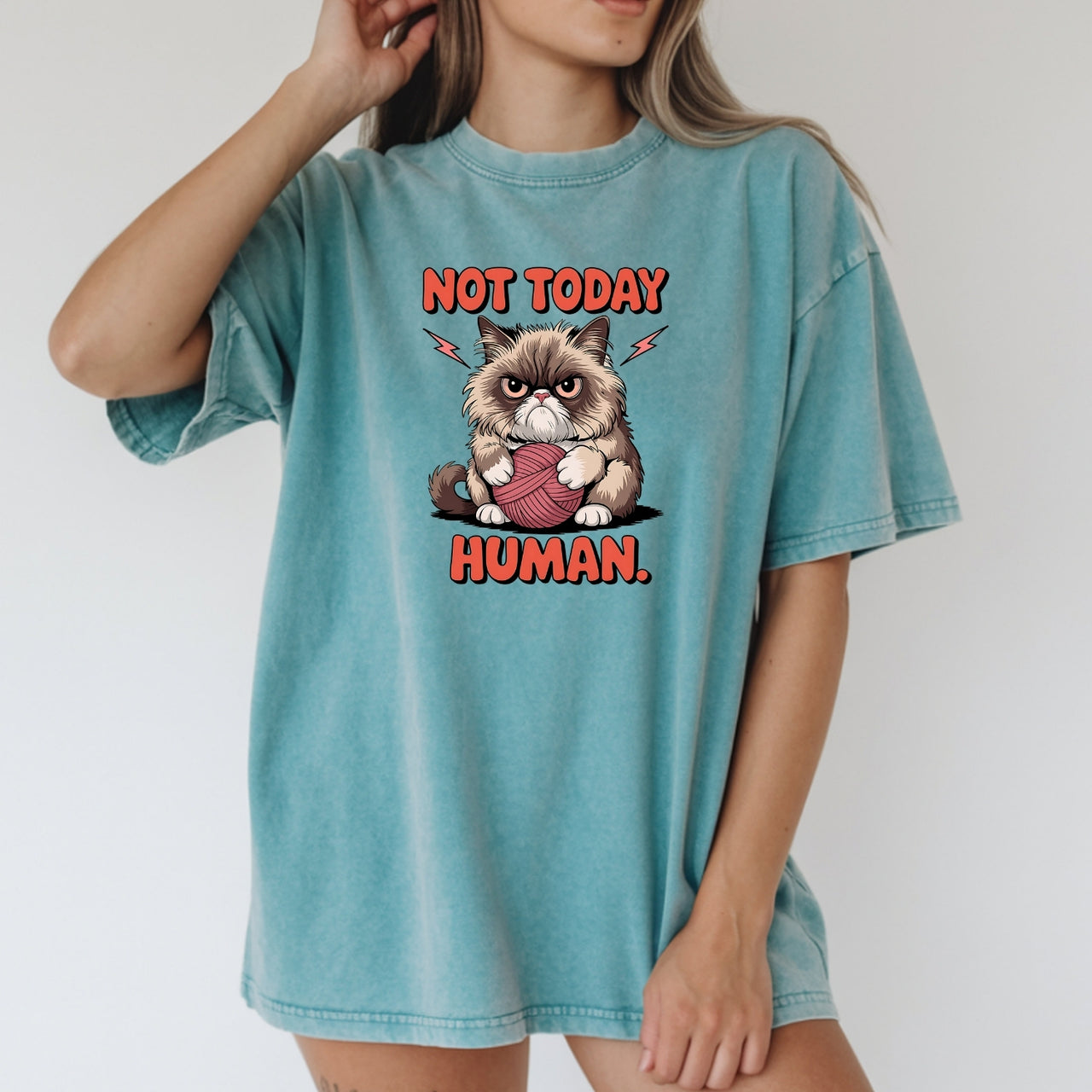 Not Today Human T-Shirt - Funny Cat Sarcastic Graphic Tee