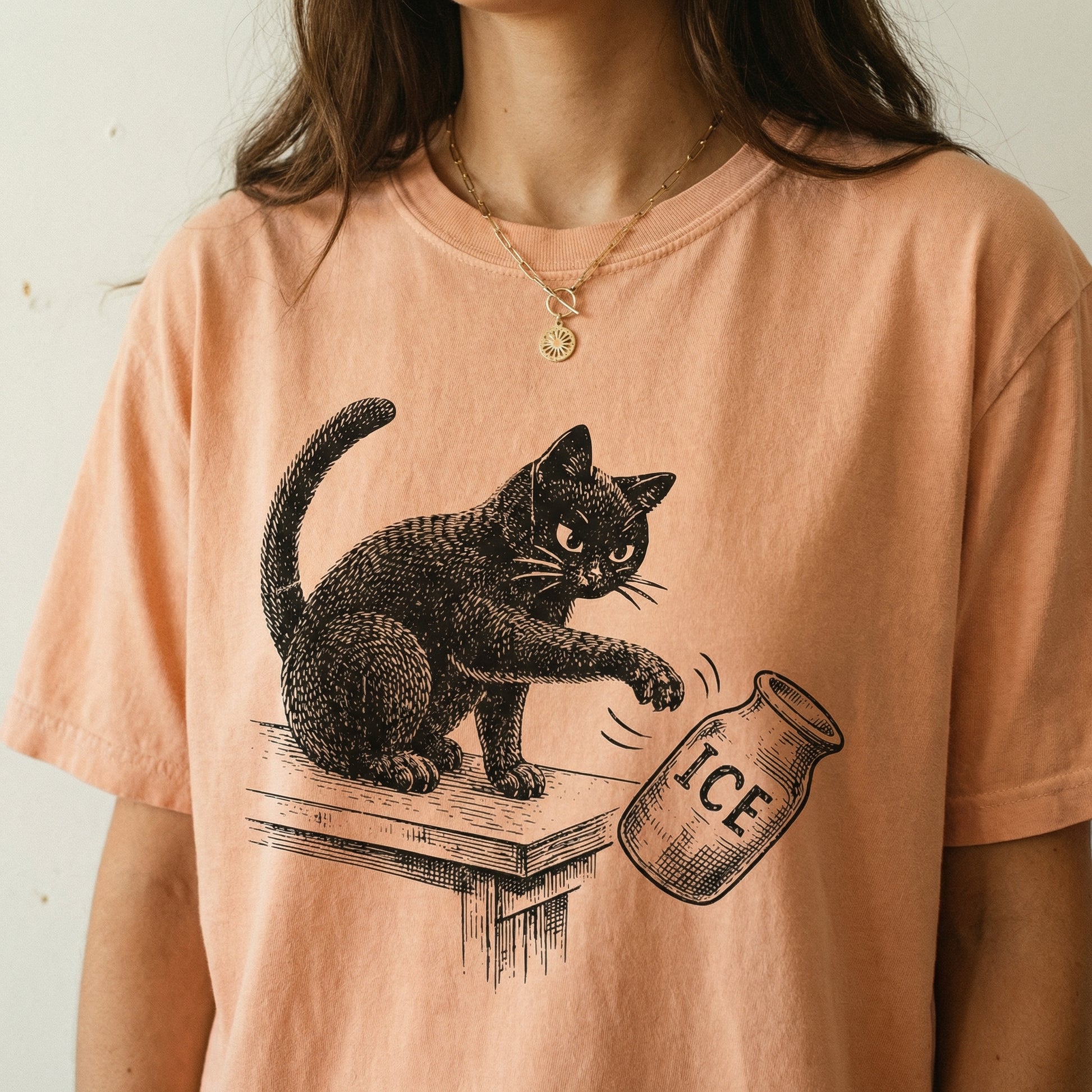 Anti-Deportation Immigration Justice Graphic T-Shirt – Funny Cat Activism Tee