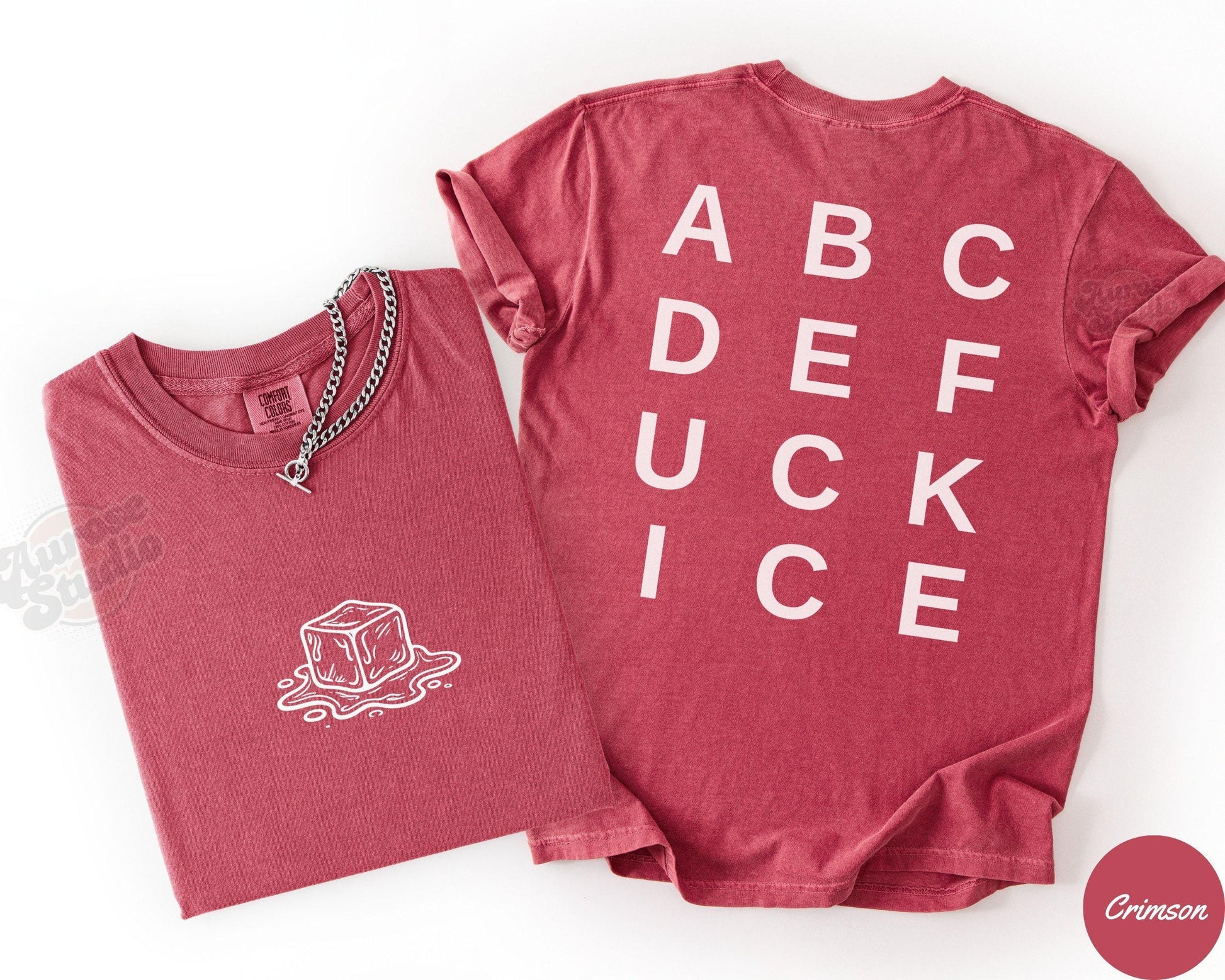 Anti-ICE Melting Ice Graphic T-Shirt – Subtle Abolish ICE Protest Tee