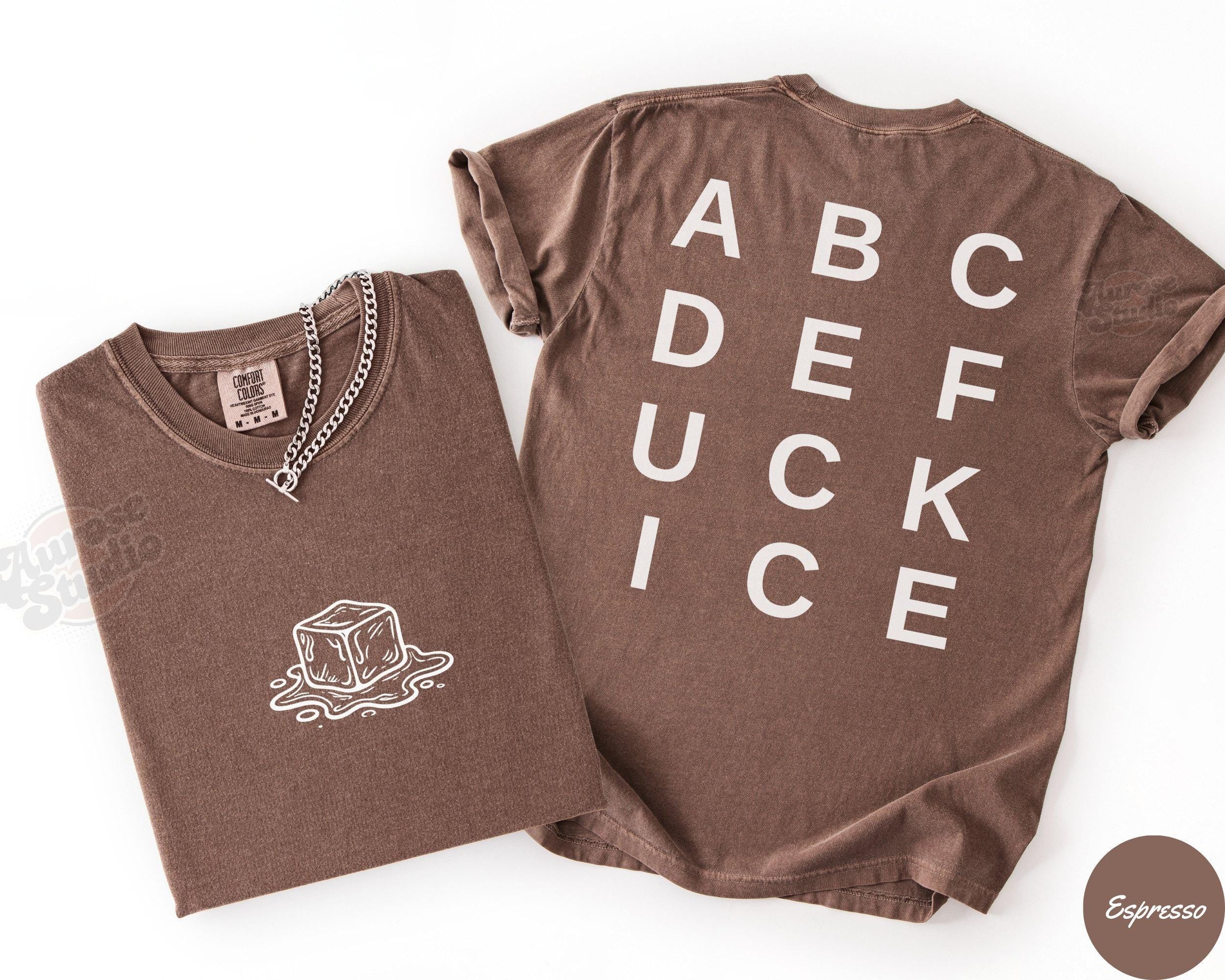 Anti-ICE Melting Ice Graphic T-Shirt – Subtle Abolish ICE Protest Tee