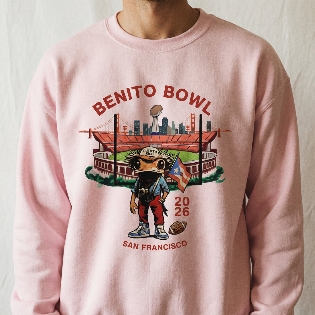 Bunny Bowl 2026 Football Graphic T-Shirt – Funny Sports Fan Tee