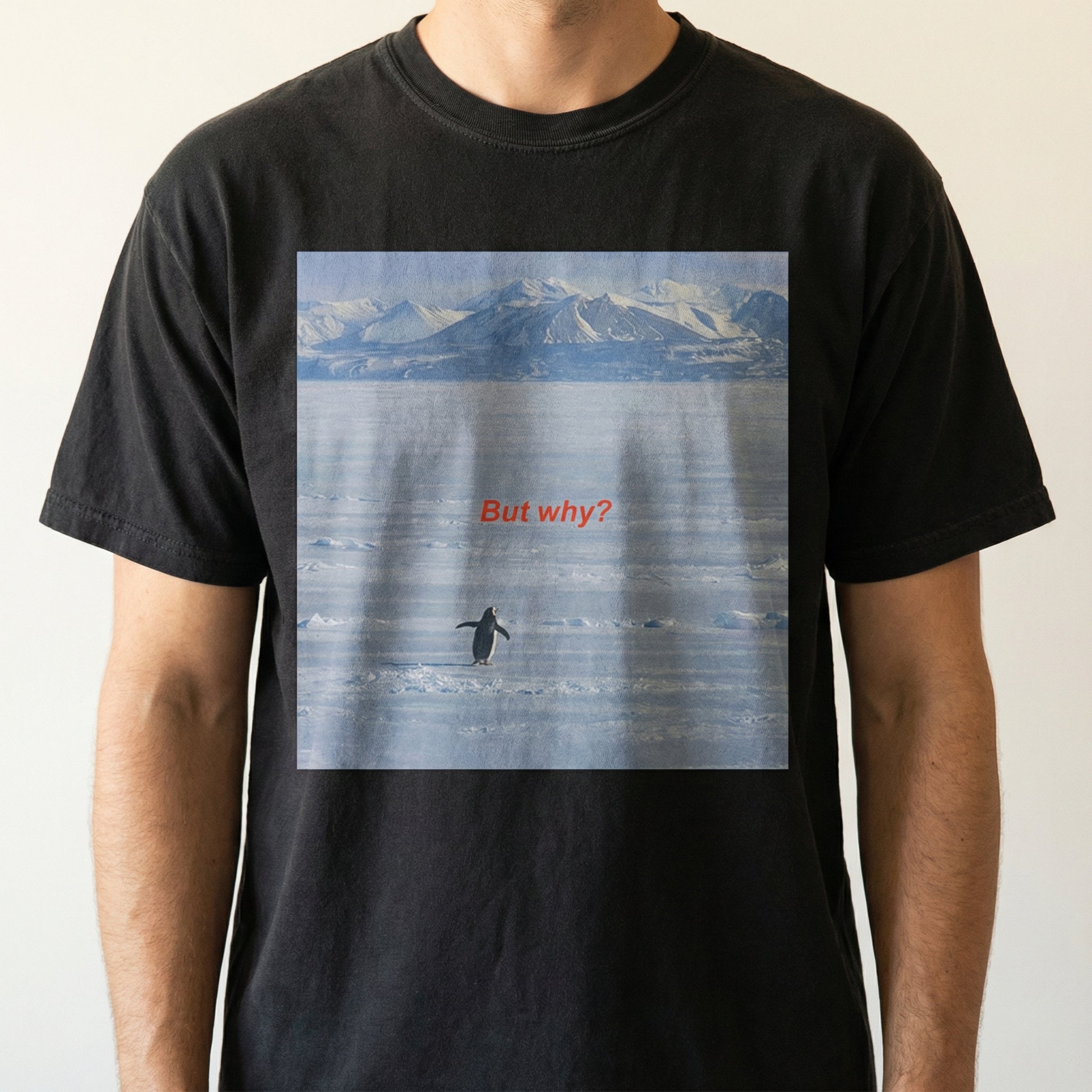 But Why Penguin Graphic T-Shirt – Funny Nihilist Hiking Unisex Tee