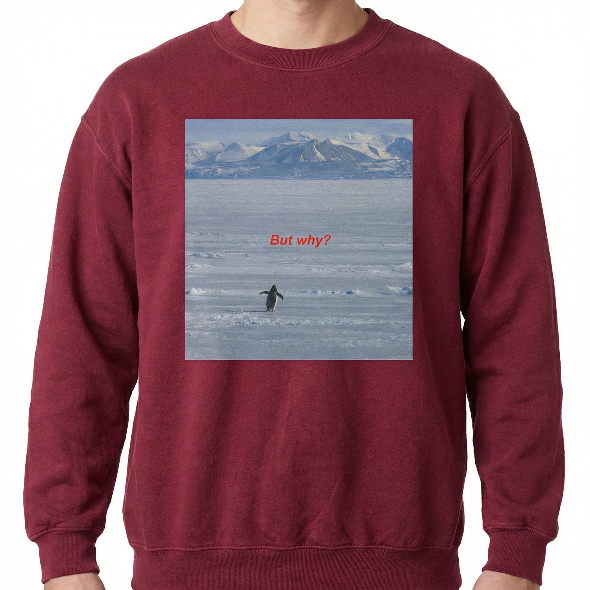 But Why Penguin Graphic T-Shirt – Funny Nihilist Hiking Unisex Tee