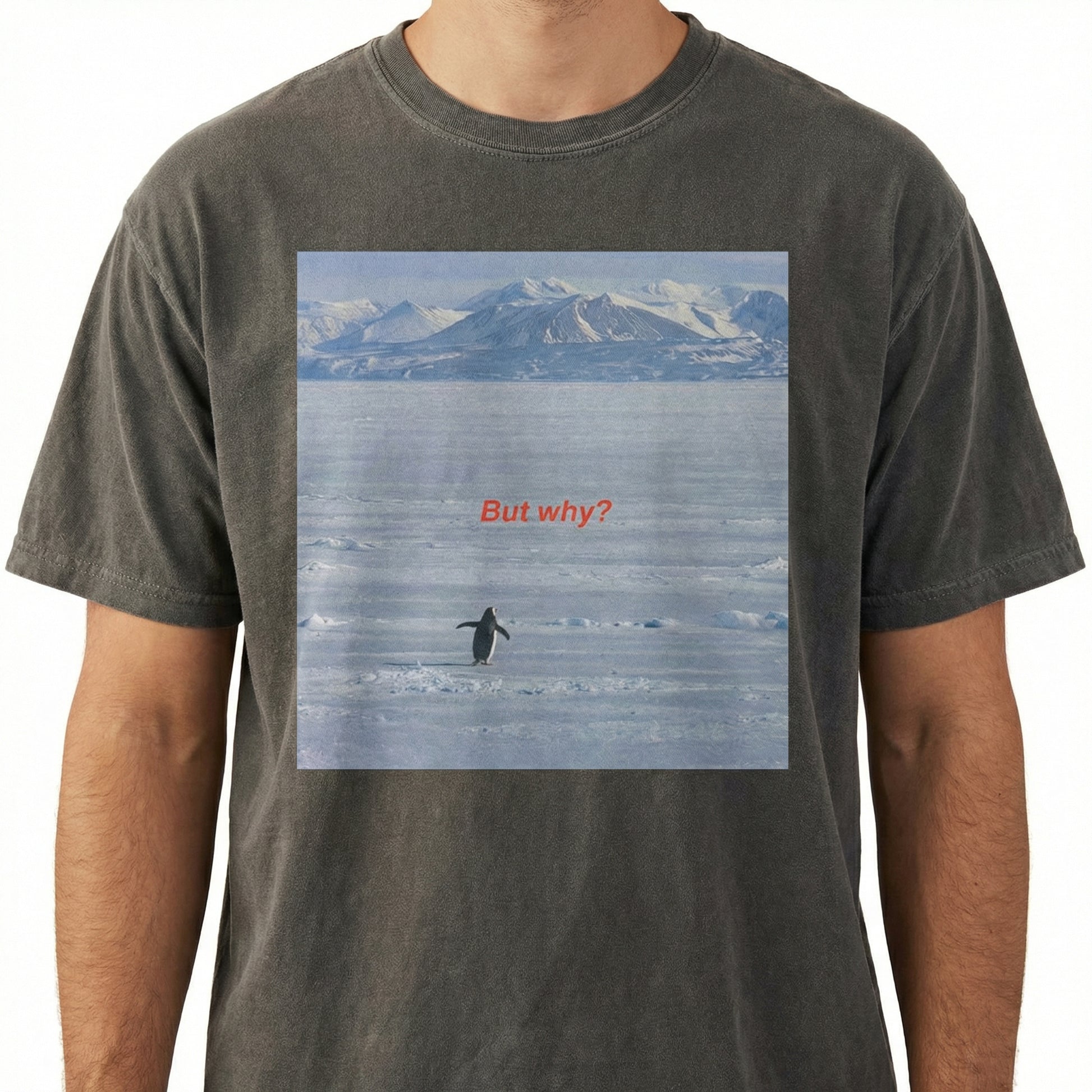 But Why Penguin Graphic T-Shirt – Funny Nihilist Hiking Unisex Tee