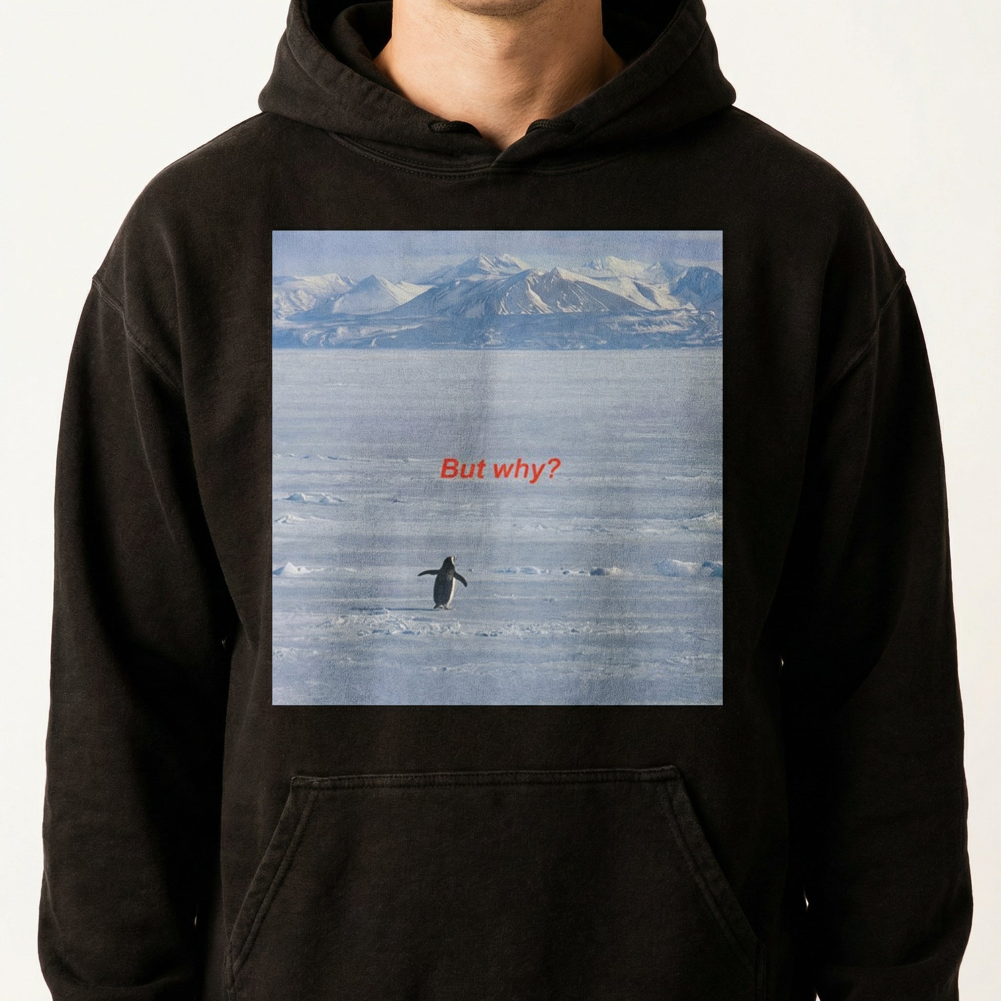 But Why Penguin Graphic T-Shirt – Funny Nihilist Hiking Unisex Tee