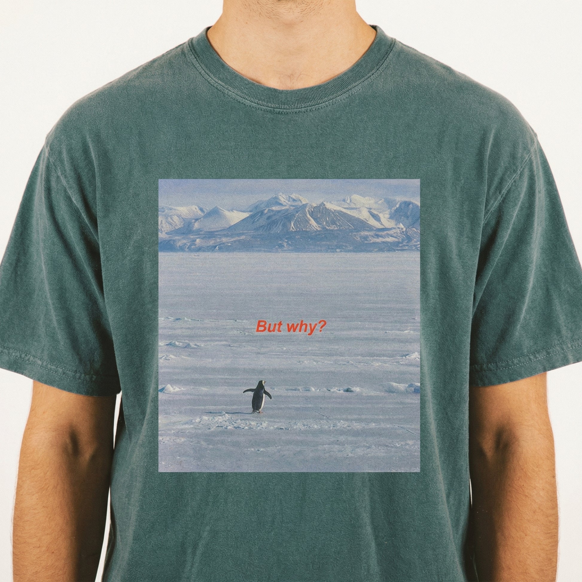 But Why Penguin Graphic T-Shirt – Funny Nihilist Hiking Unisex Tee