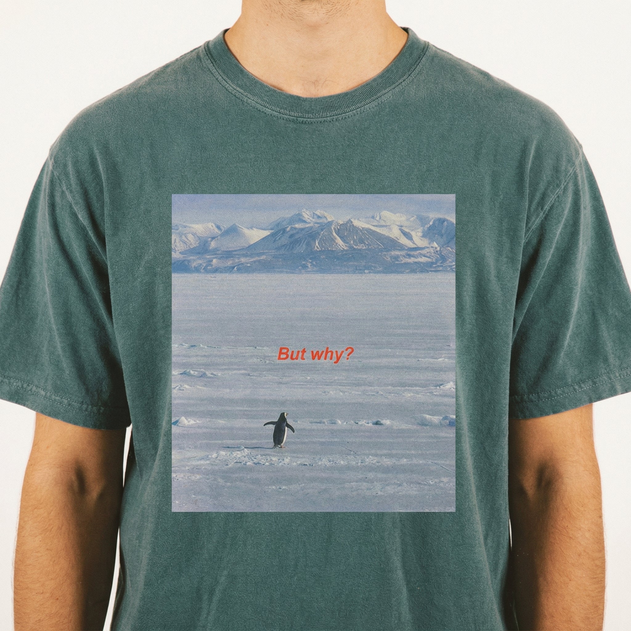 But Why Penguin Graphic T-Shirt – Funny Nihilist Hiking Unisex Tee