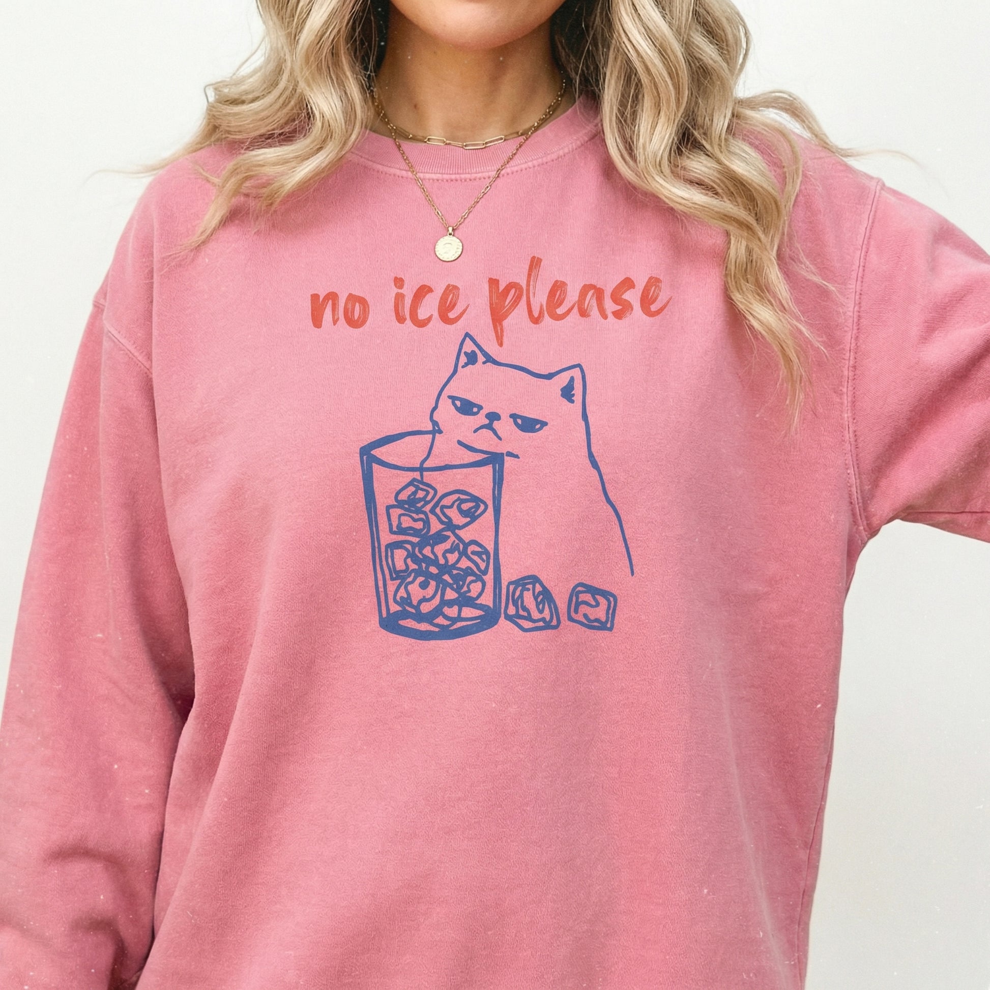 Cat Graphic Social Justice Sweatshirt – Compassion & Human Dignity Statement