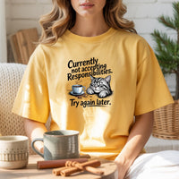 Currently Not Accepting Responsibilities T-Shirt - Funny Cat Sarcastic Graphic Tee
