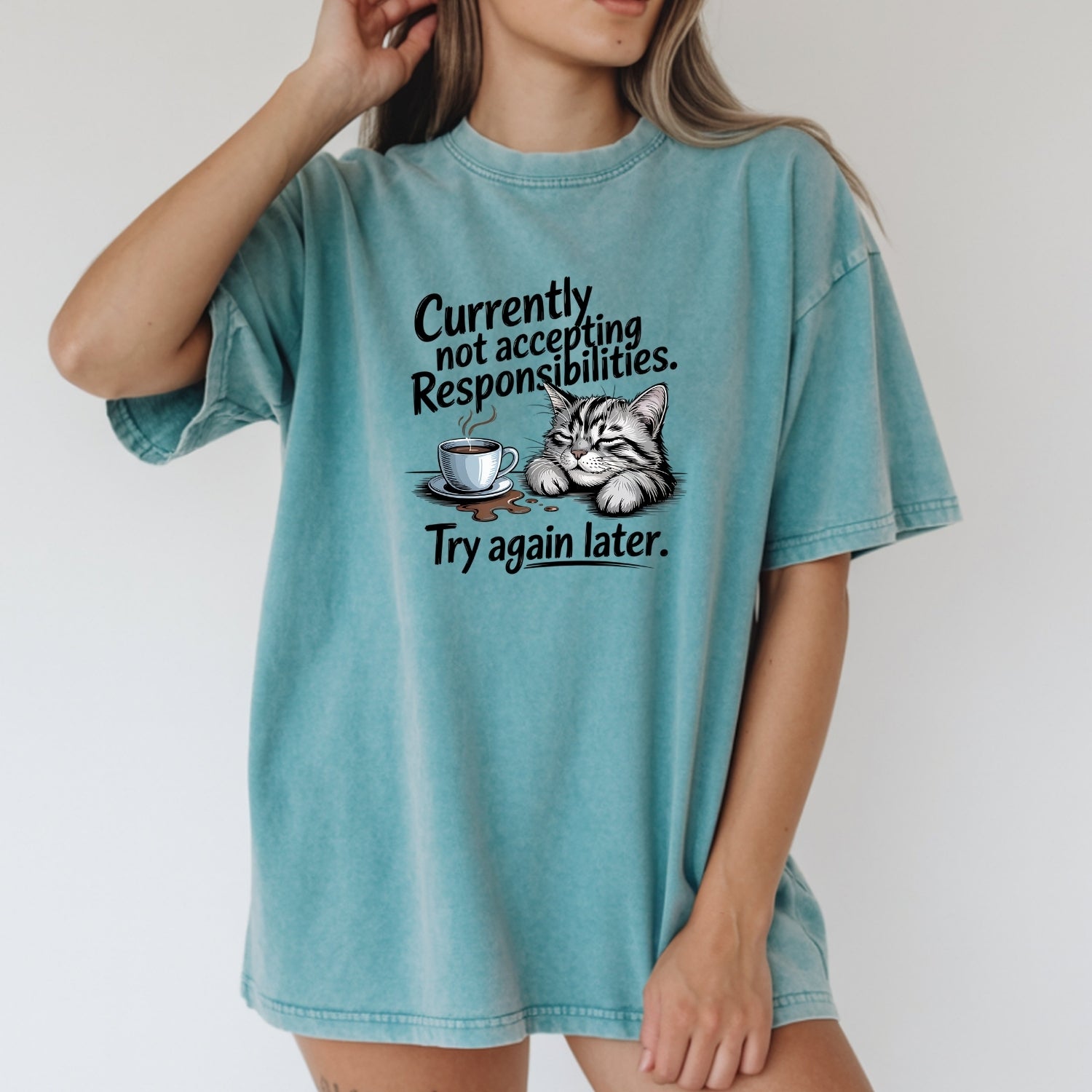 Currently Not Accepting Responsibilities T-Shirt - Funny Cat Sarcastic Graphic Tee