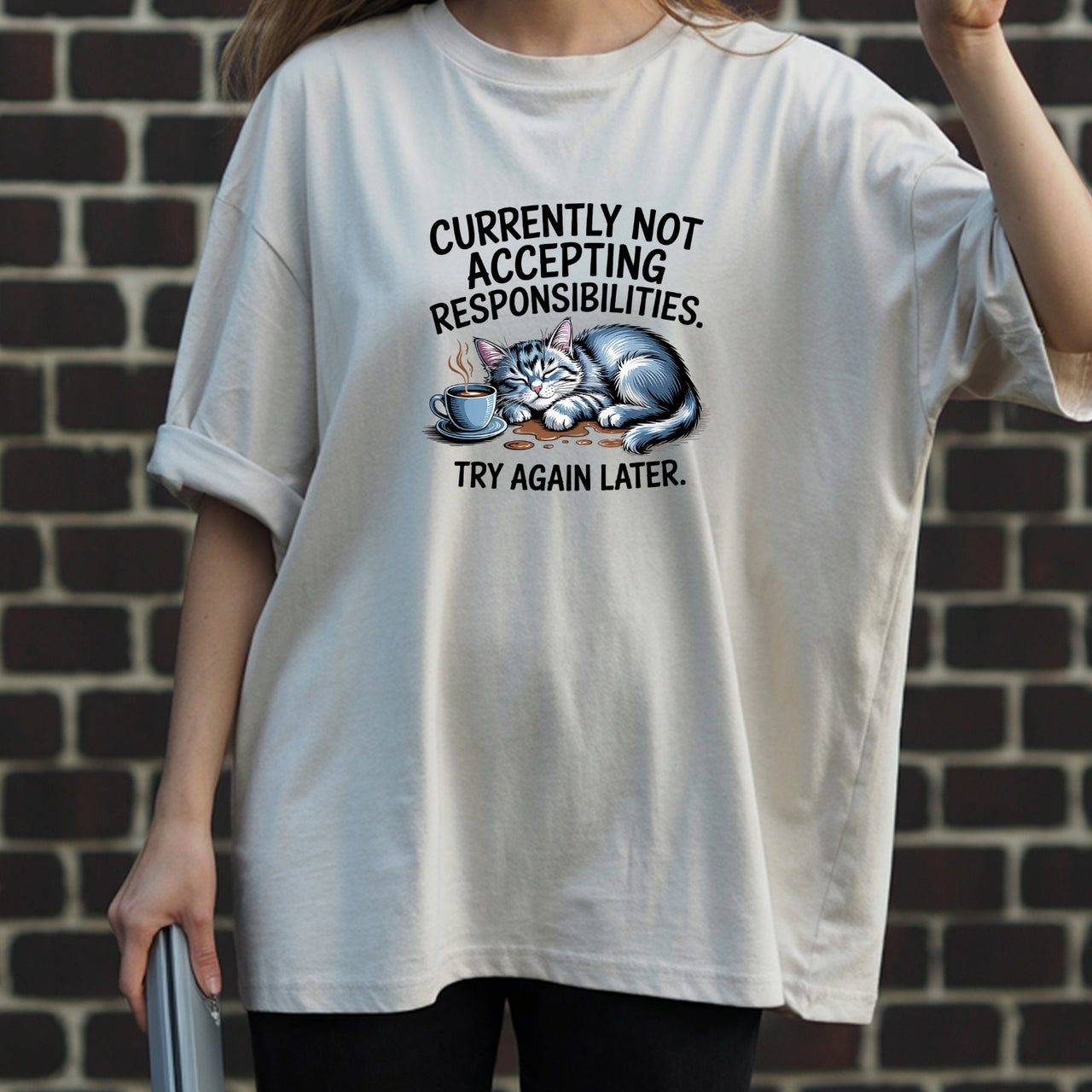 Currently Not Accepting Responsibilities Try Again T-Shirt - Funny Cat Sarcastic Graphic Tee