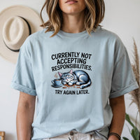 Currently Not Accepting Responsibilities Try Again T-Shirt - Funny Cat Sarcastic Graphic Tee