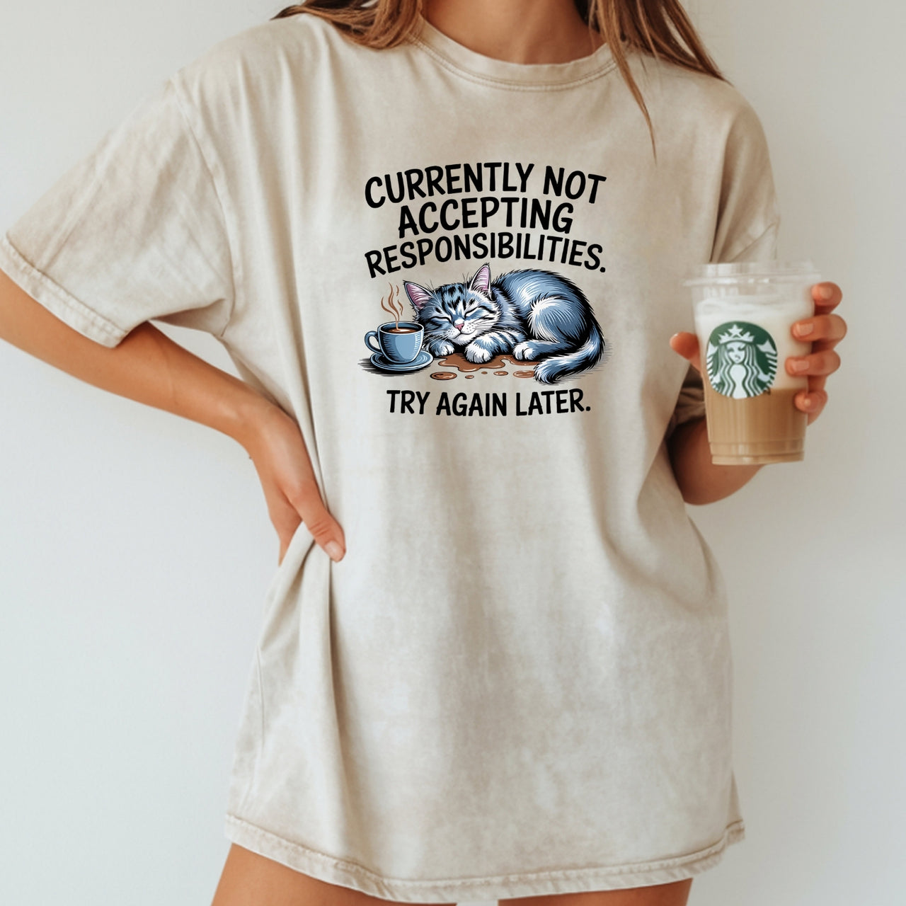 Currently Not Accepting Responsibilities Try Again T-Shirt - Funny Cat Sarcastic Graphic Tee