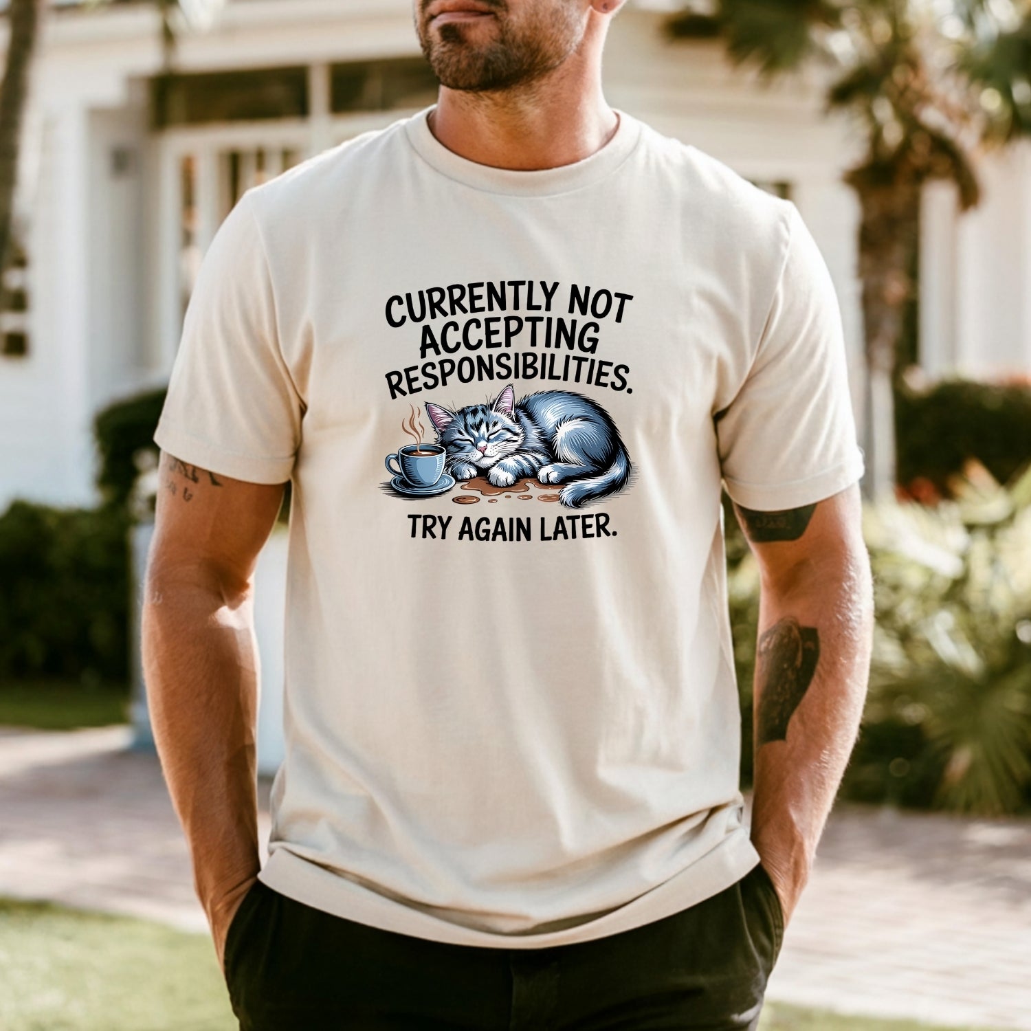 Currently Not Accepting Responsibilities Try Again T-Shirt - Funny Cat Sarcastic Graphic Tee