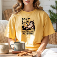 Don't Rush Me I'm Waiting The Last Minute T-Shirt - Funny Cat Sarcastic Graphic Tee