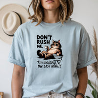 Don't Rush Me I'm Waiting The Last Minute T-Shirt - Funny Cat Sarcastic Graphic Tee
