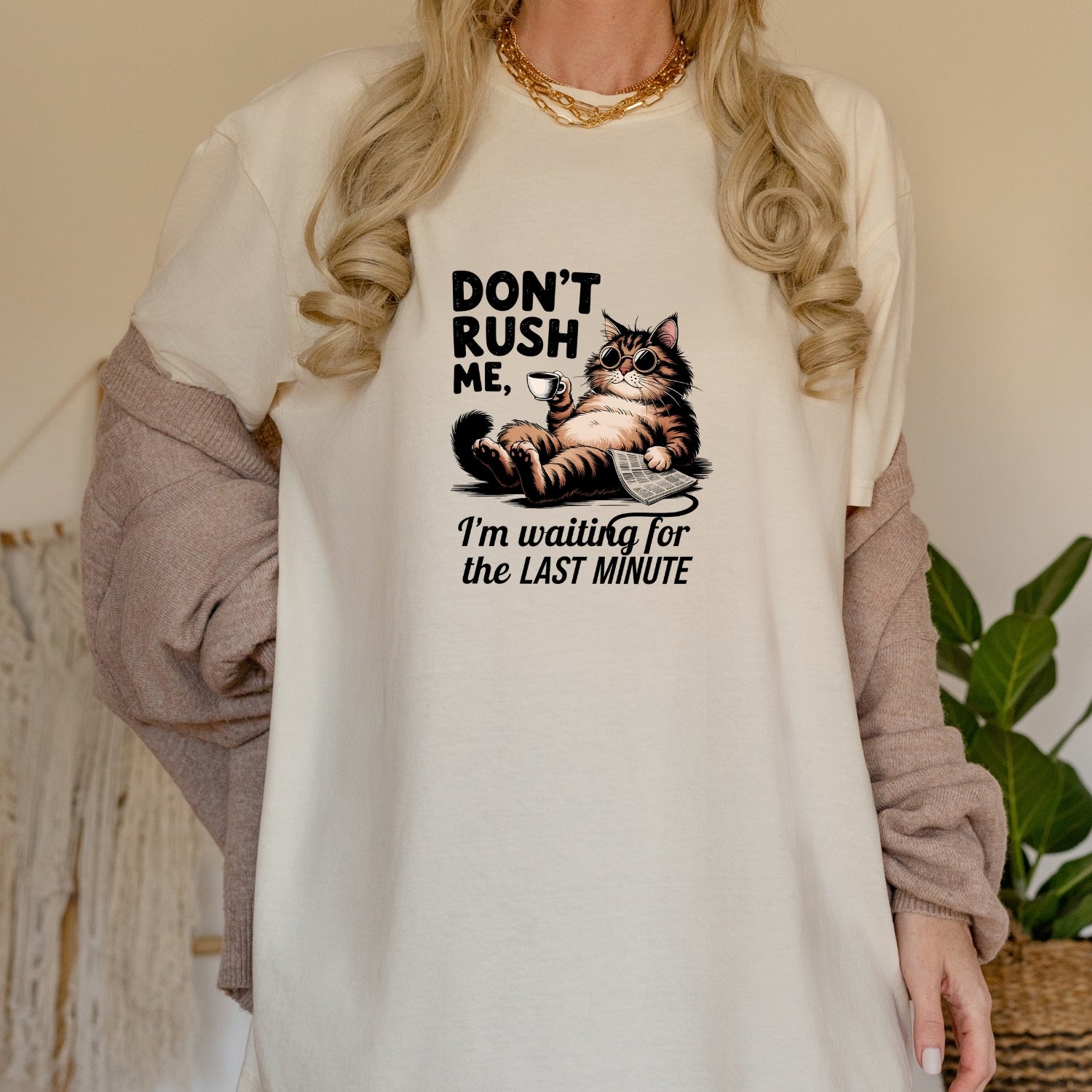 Don't Rush Me I'm Waiting The Last Minute T-Shirt - Funny Cat Sarcastic Graphic Tee