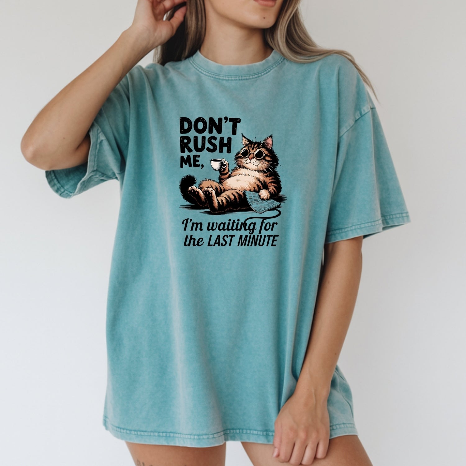 Don't Rush Me I'm Waiting The Last Minute T-Shirt - Funny Cat Sarcastic Graphic Tee