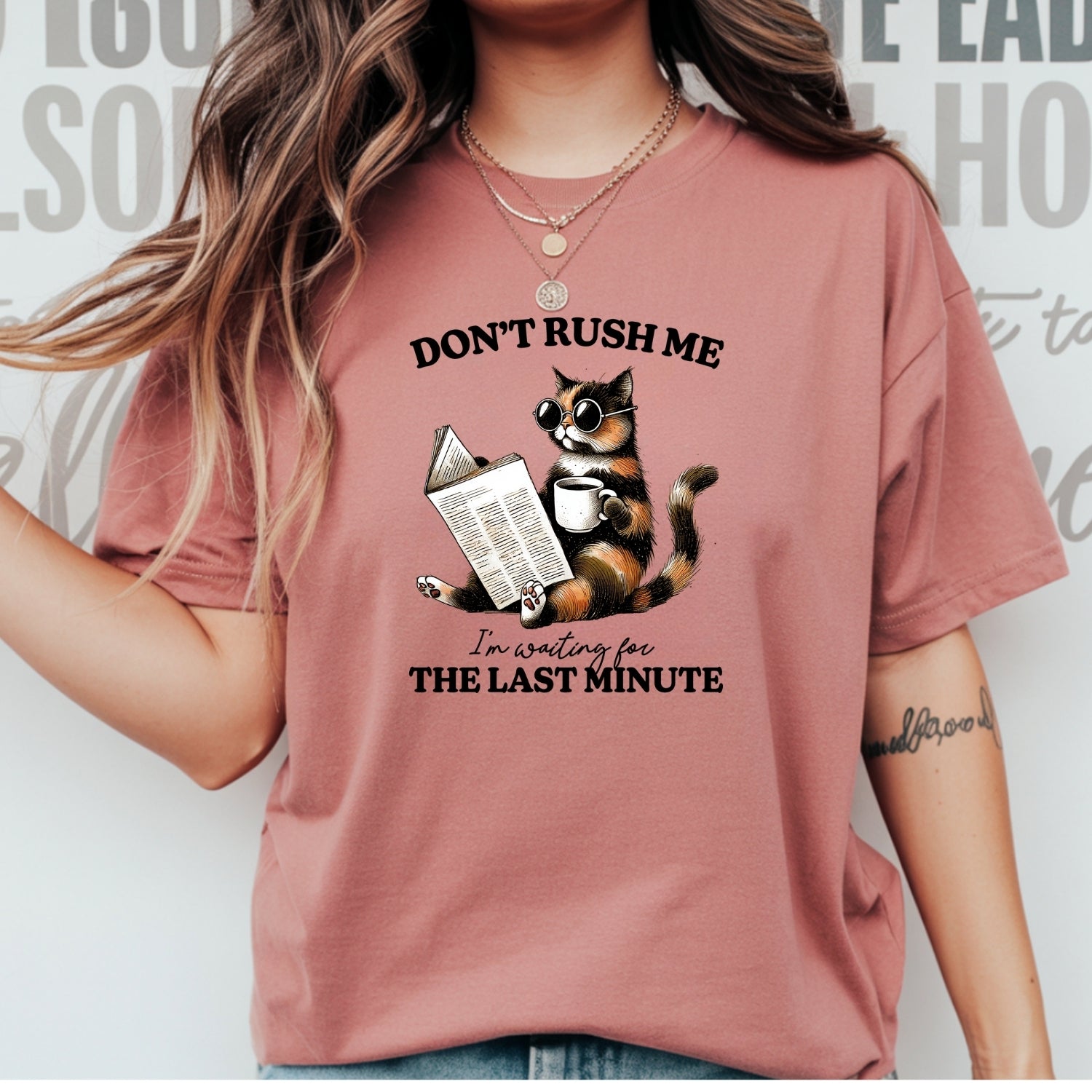 Don't Rush Me The Last Minute T-Shirt - Funny Cat Sarcastic Graphic Tee