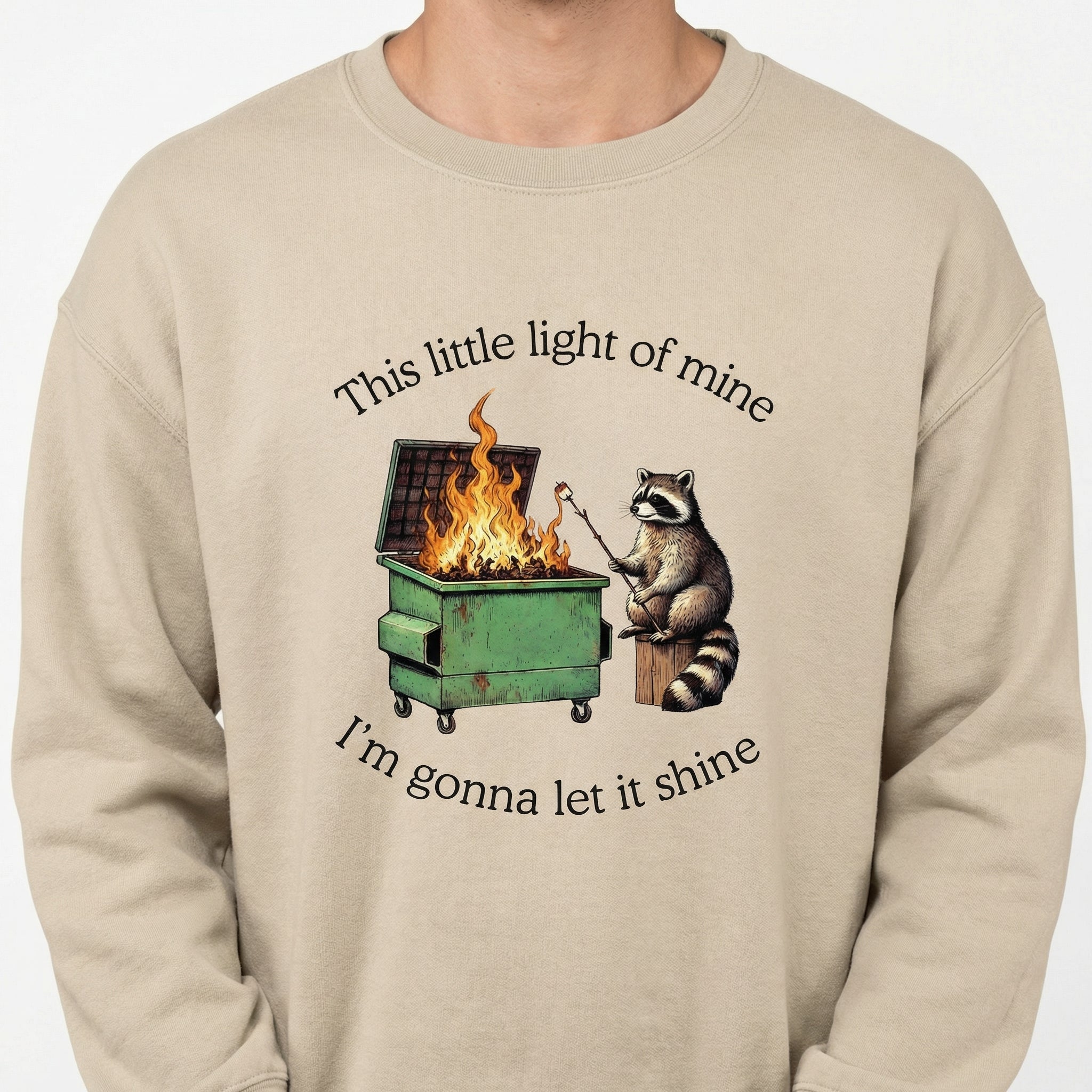 Dumpster Fire Raccoon Funny Graphic T-Shirt – Mental Health Humor Tee