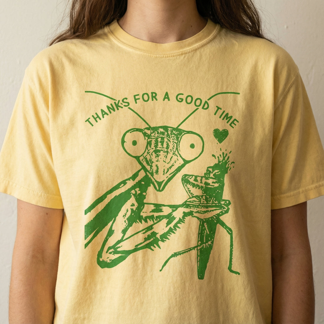 Funny Praying Mantis Graphic T-Shirt - Cute Insect Vintage Novelty Tee