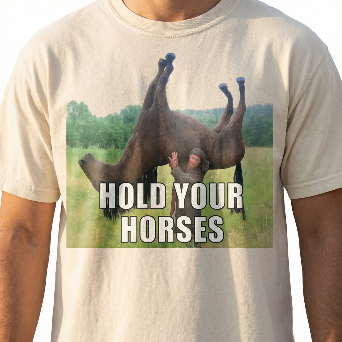 Hold Your Horses Funny Meme T-Shirt – Ironic Internet Humor Graphic Tee