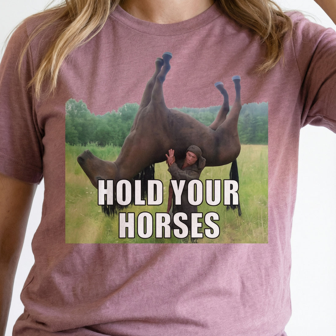 Hold Your Horses Funny Meme T-Shirt – Ironic Internet Humor Graphic Tee