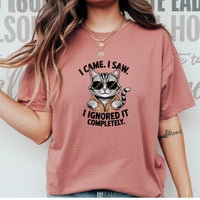 I Came I Saw T-Shirt - Funny Cat Sarcastic Graphic Tee