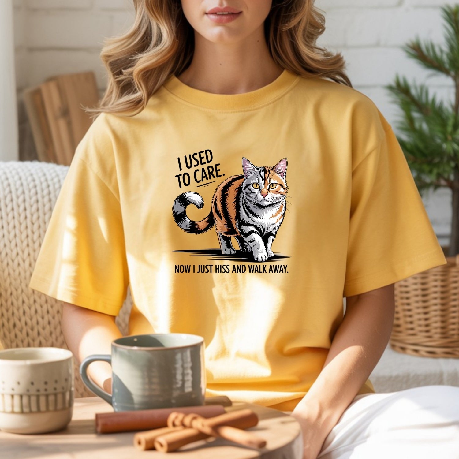 I Used To Care T-Shirt - Funny Cat Sarcastic Graphic Tee