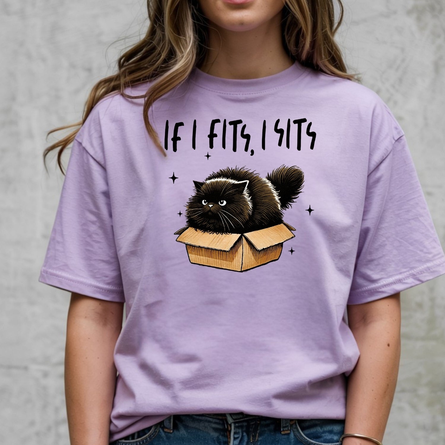 If I Fits I Sits T-Shirt - Funny Cat Sarcastic Graphic Tee