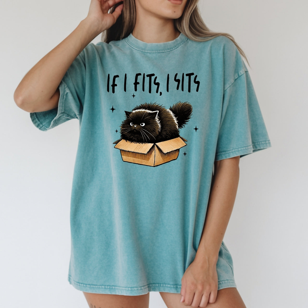 If I Fits I Sits T-Shirt - Funny Cat Sarcastic Graphic Tee