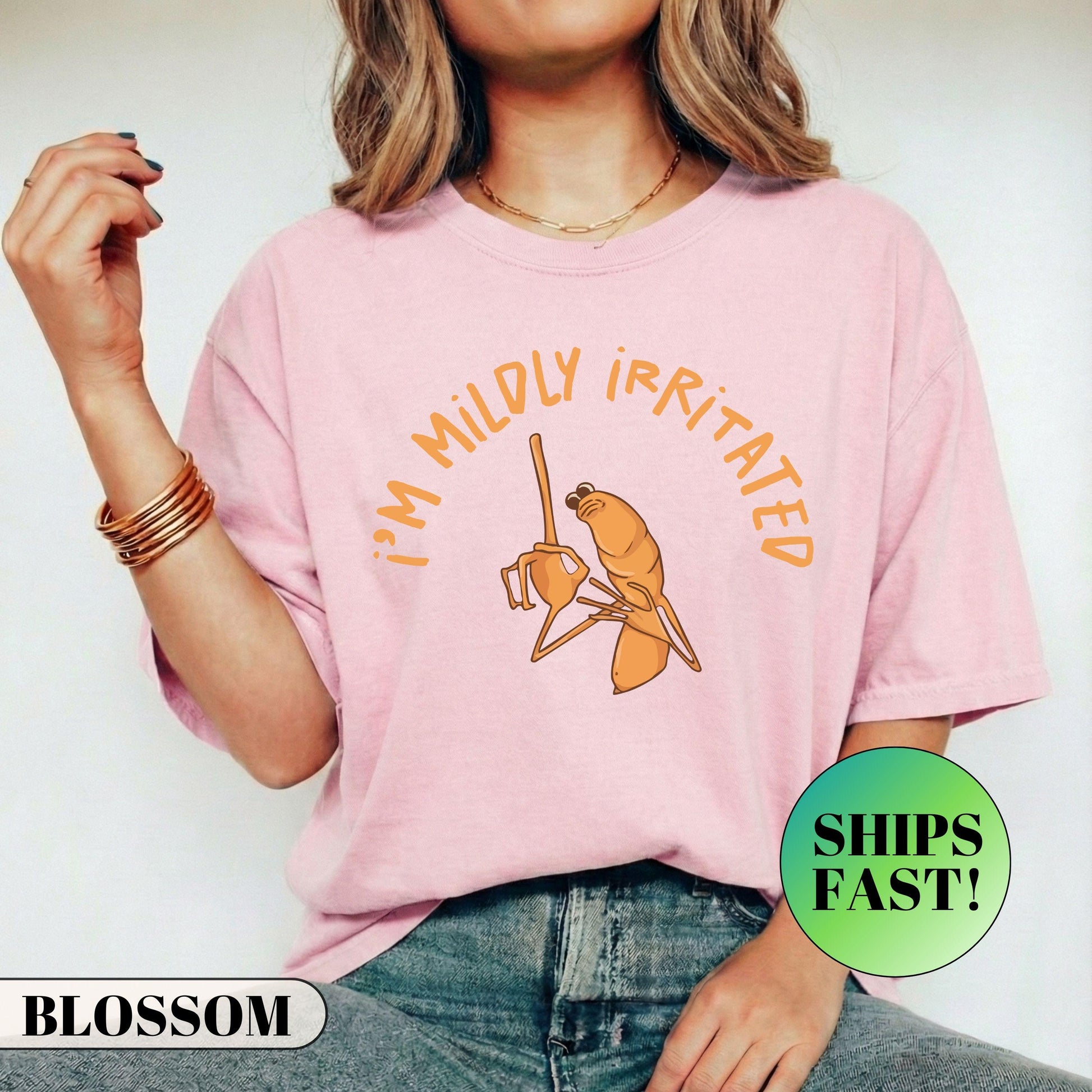 I’m Mildly Irritated Shirt – Marcus The Worm Meme Tee – Funny Sarcastic Shirt – I Don’t Like This Rock Shirt