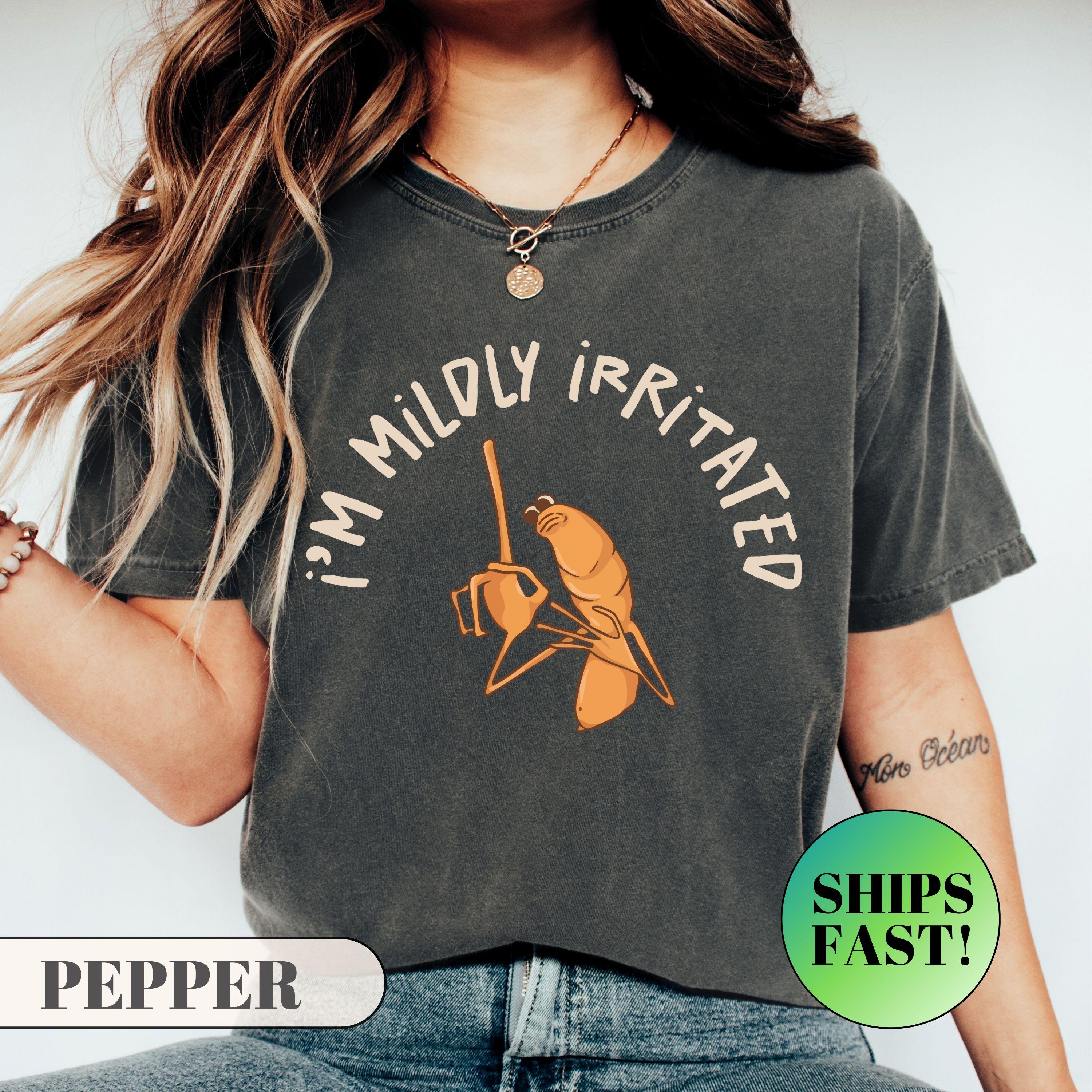 I’m Mildly Irritated Shirt – Marcus The Worm Meme Tee – Funny Sarcastic Shirt – I Don’t Like This Rock Shirt