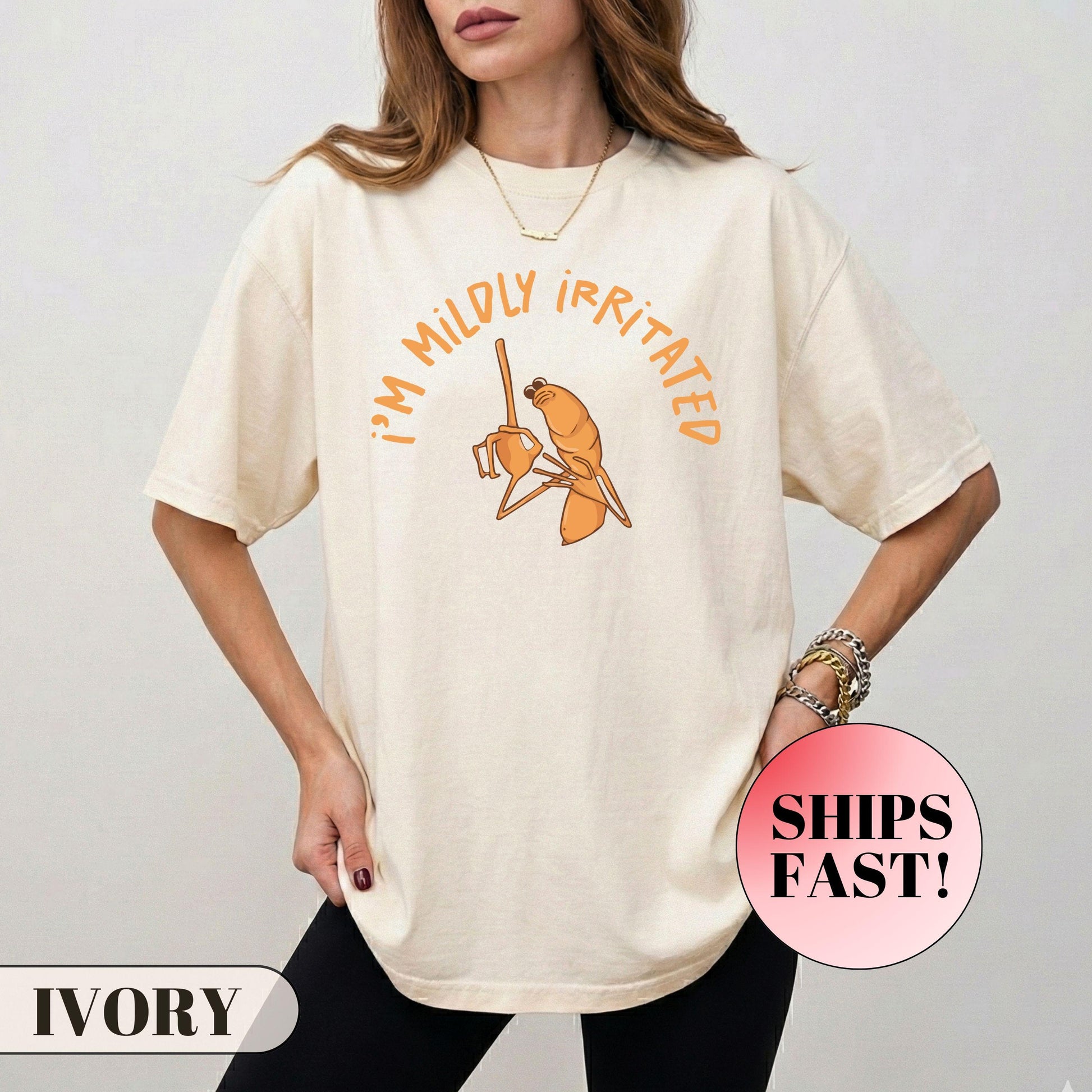 I’m Mildly Irritated Shirt – Marcus The Worm Meme Tee – Funny Sarcastic Shirt – I Don’t Like This Rock Shirt