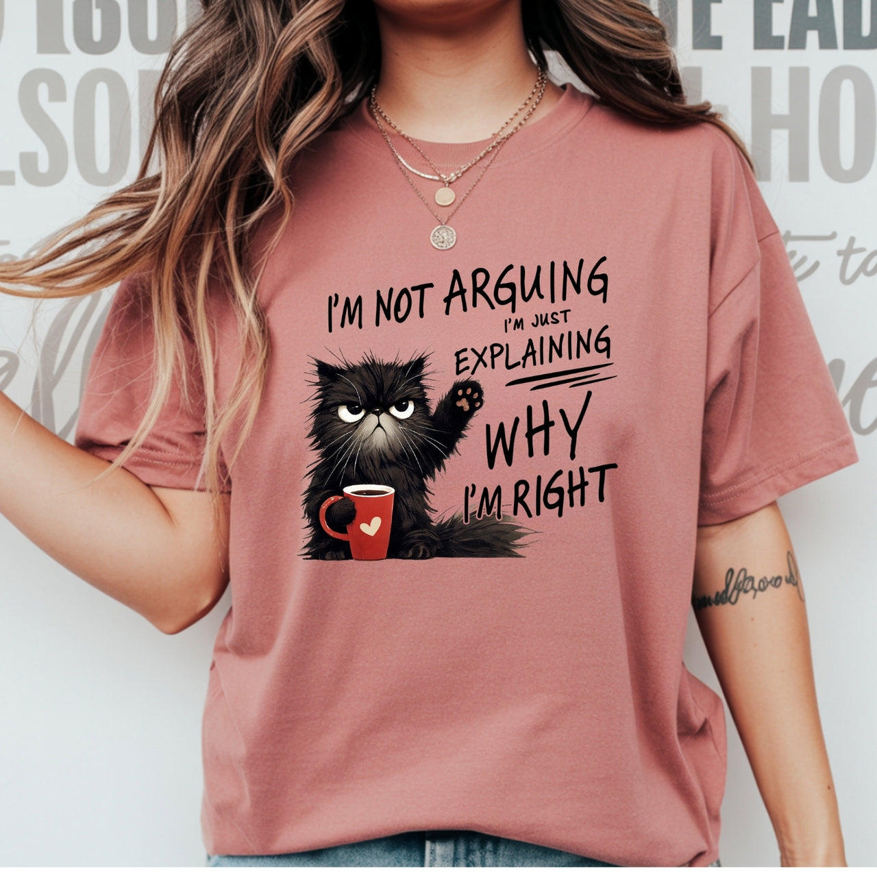 I'm Not Arguing I'm Just Explaining T-Shirt - Funny Cat Sarcastic Graphic Tee