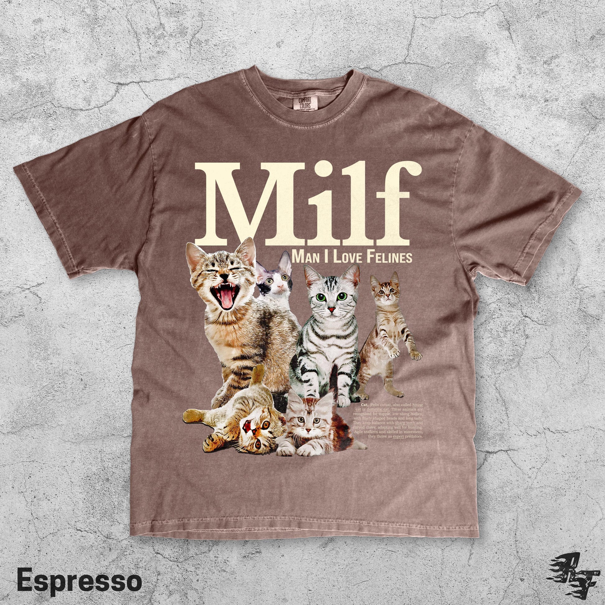 Man I Love Felines Graphic T-Shirt - Retro Cat Humor Tee