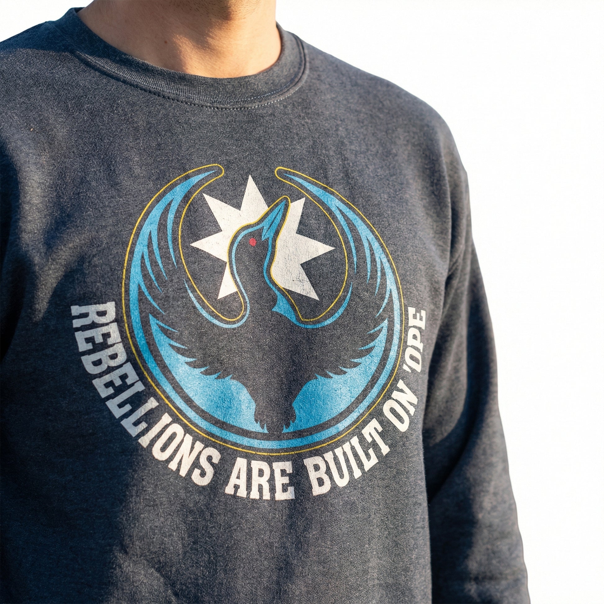 Minnesota Loon Graphic T-Shirt – Hope & Resistance Message Tee