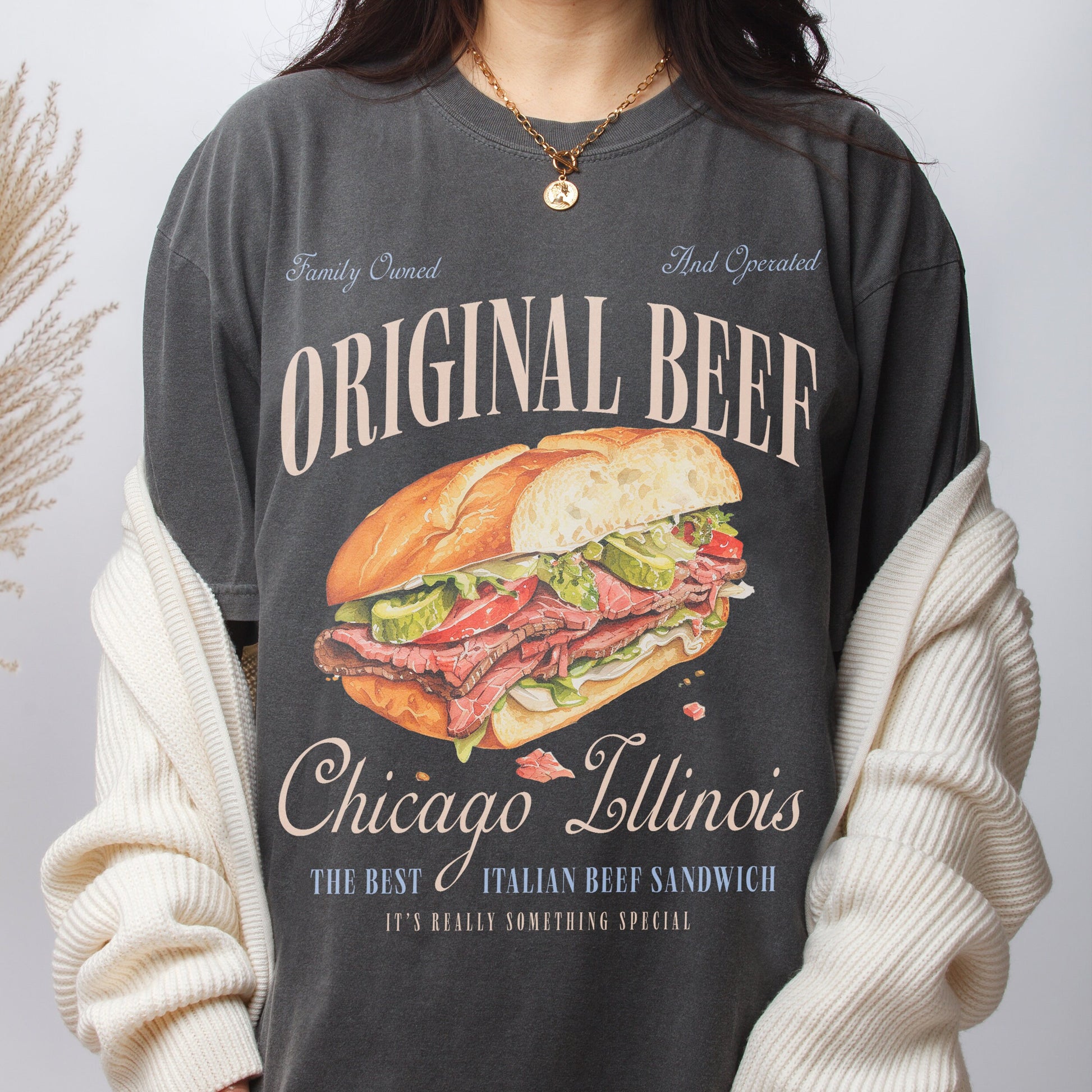 Original Beef of Chicagoland T-Shirt – Retro Italian Beef Sandwich Graphic Tee