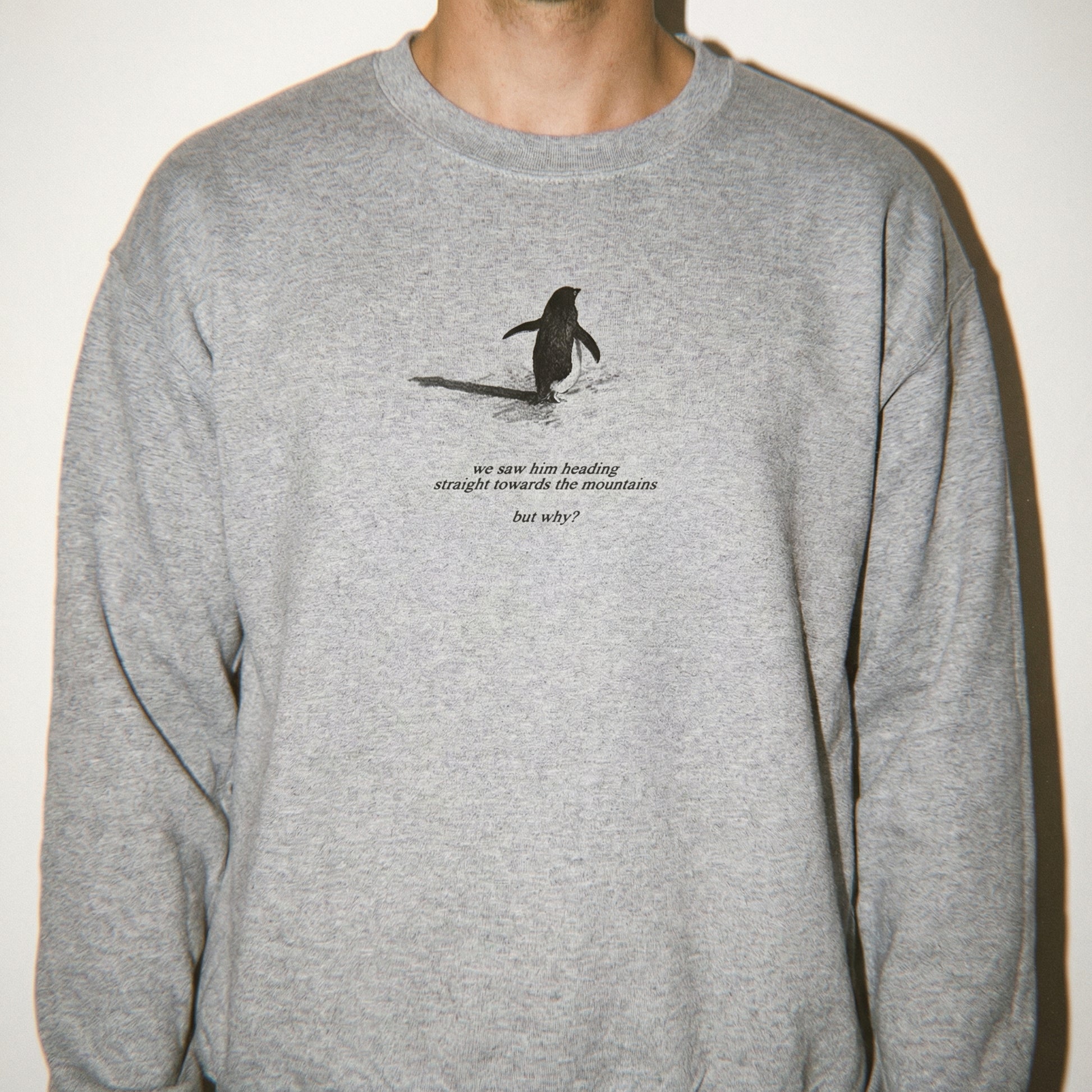 Penguin But Why Meme T-Shirt – Absurd Humor Graphic Tee