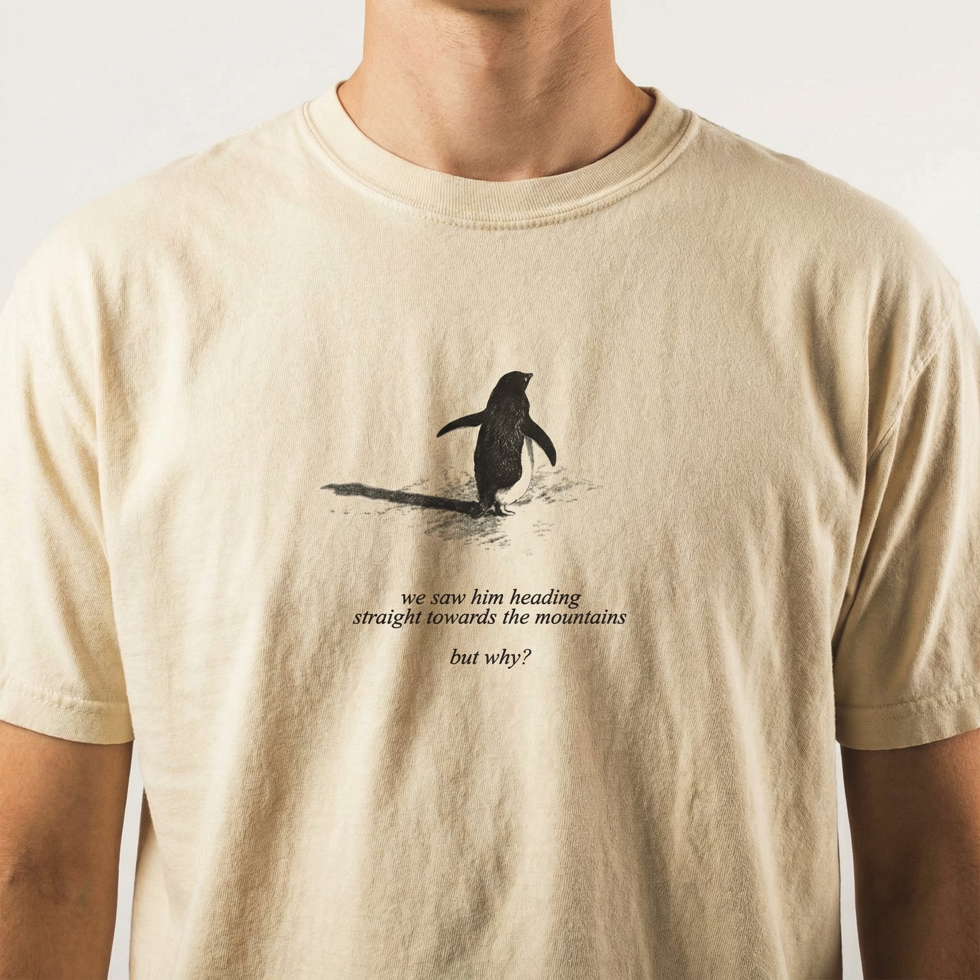 Penguin But Why Meme T-Shirt – Absurd Humor Graphic Tee