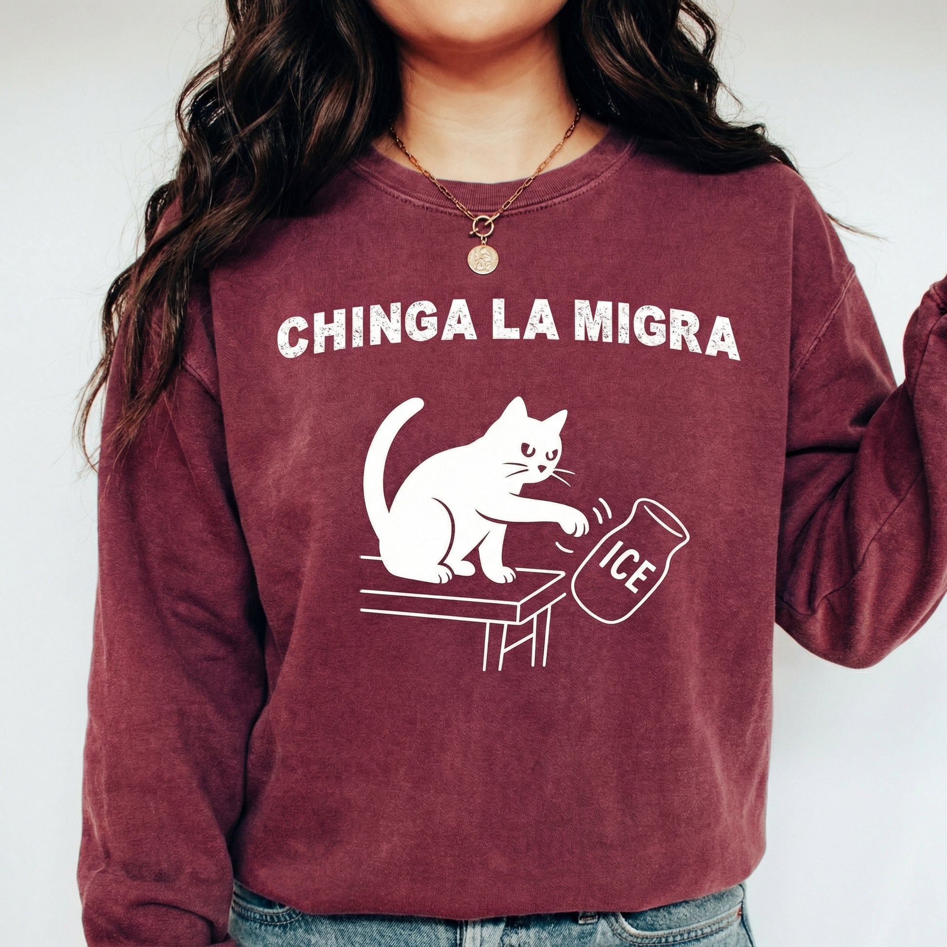 Pro Immigration Cat Graphic T-Shirt – Abolish ICE Message Tee