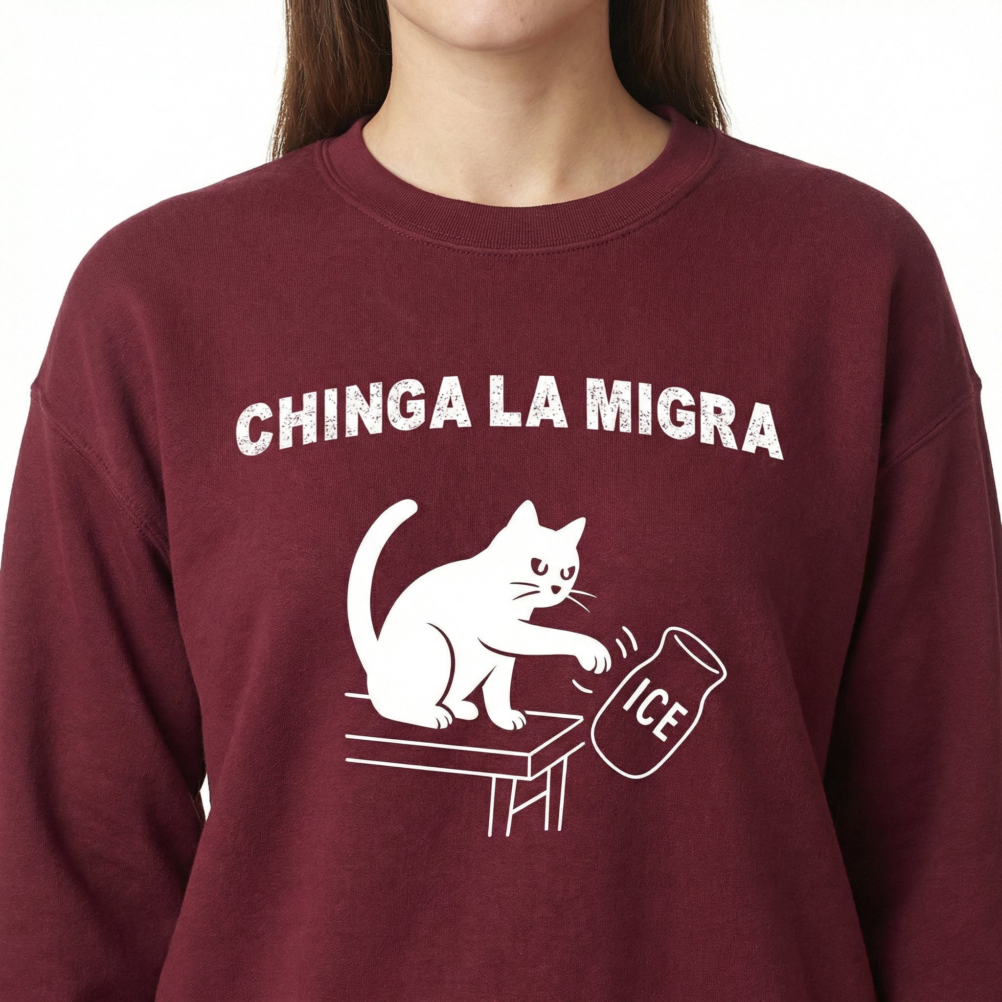 Pro Immigration Cat Graphic T-Shirt – Abolish ICE Message Tee