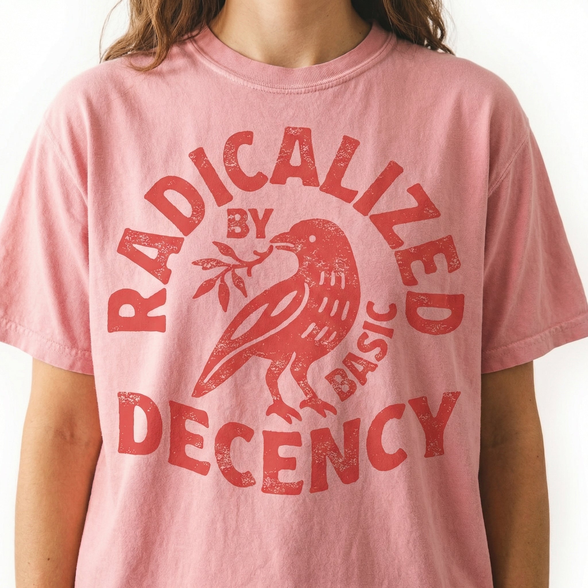 Radicalized by Basic Decency Graphic T-Shirt – Activist Statement Tee