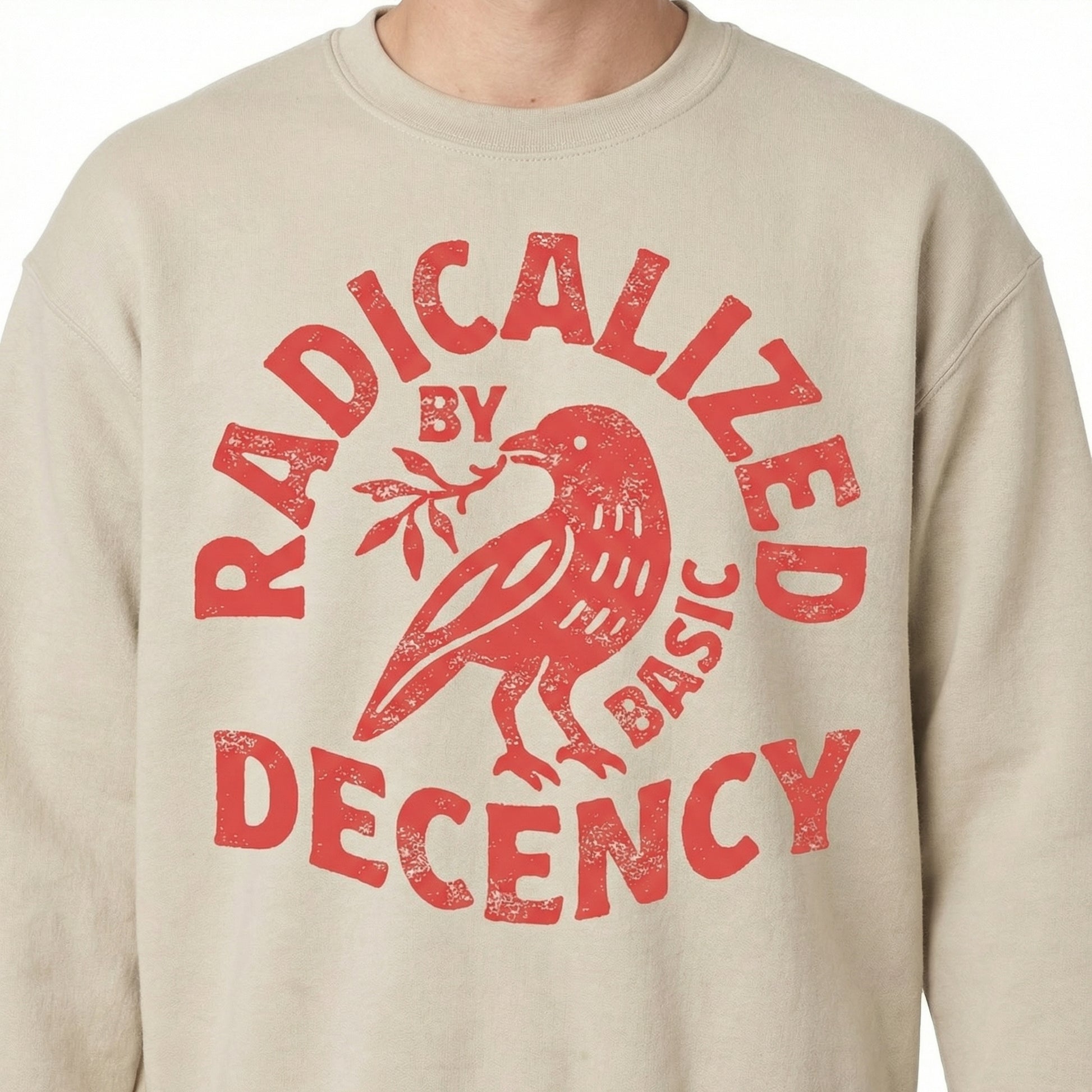 Radicalized by Basic Decency Graphic T-Shirt – Activist Statement Tee