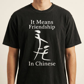 Sarcastic Meme T-Shirt – Ironic Adult Humor Gift for Friends