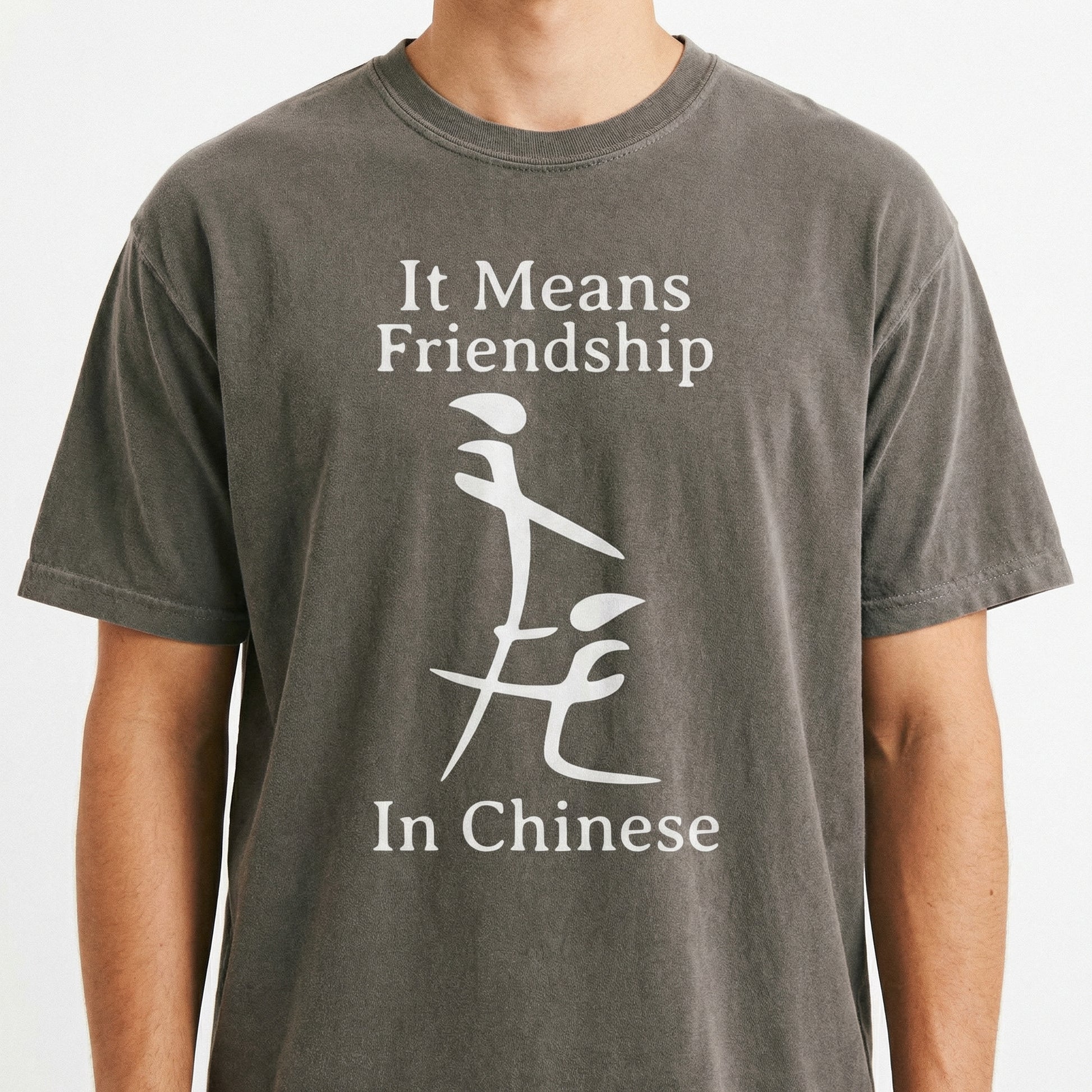 Sarcastic Meme T-Shirt – Ironic Adult Humor Gift for Friends