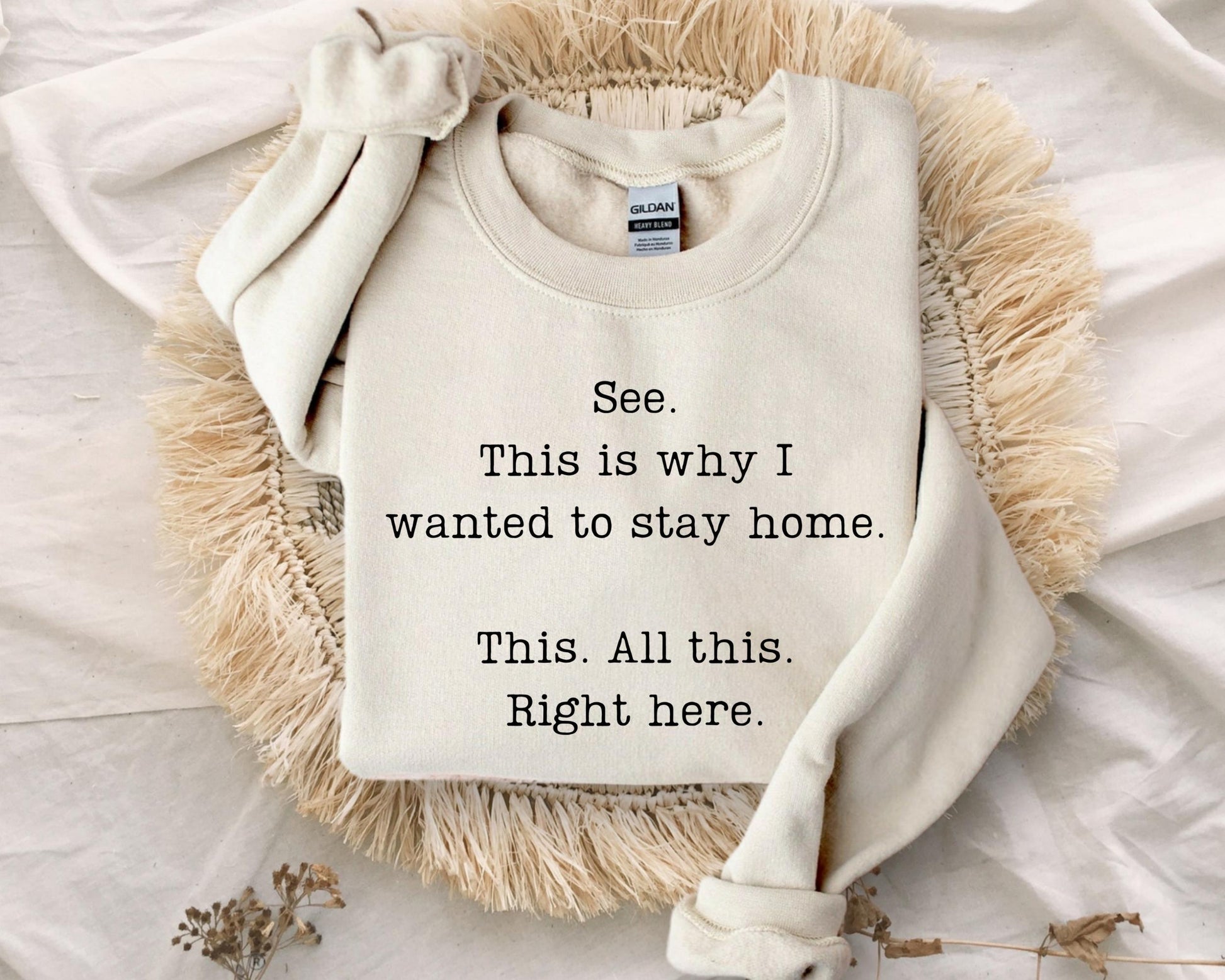 See This Is Why I Wanted to Stay Home Sweatshirt – Funny Sarcastic Saying Hoodie – Humorous Attitude Sweatshirt
